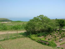 View from the second floor